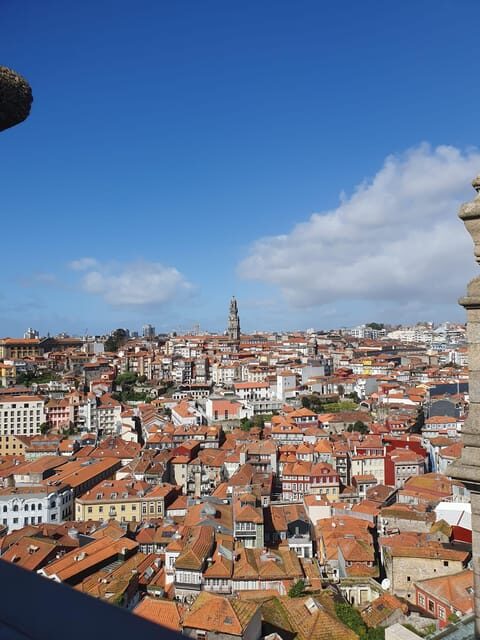 Porto: Private Full-Day City Tour - Discovering Porto: A City of Contrasts and Charm