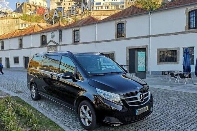 Porto Private Tour from Lisbon with Douro Cruise and Wine Tasting - Introduction: Why This Tour Stands Out