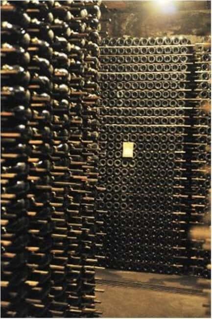 Porto: Private tour in Bairrada - From wine to suckling pig with tradition. - A Deep Dive into the Bairrada Private Tour