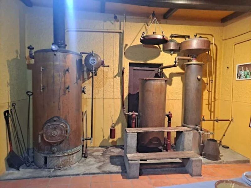 Porto: Private tour in Bairrada - From wine to suckling pig with tradition. - Who This Tour Is Best For