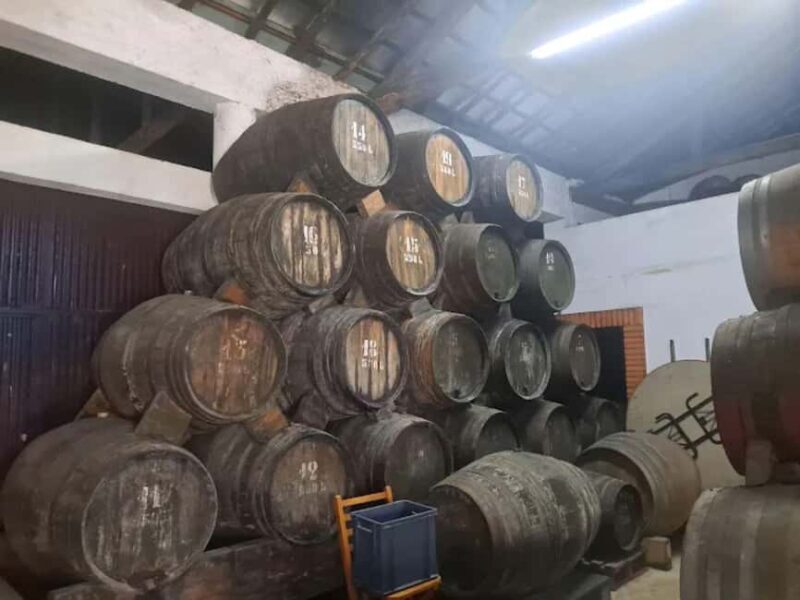 Porto: Private tour in Bairrada - From wine to suckling pig with tradition. - FAQs