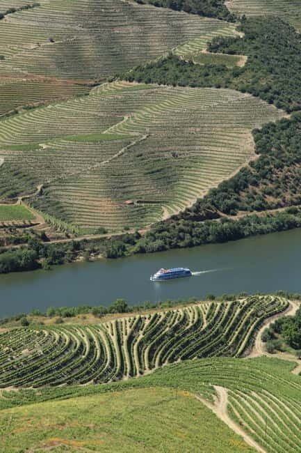 Porto/Regua/Porto (and reverse): Douro River Cruise + Lunch - Who Is This Tour Best For?