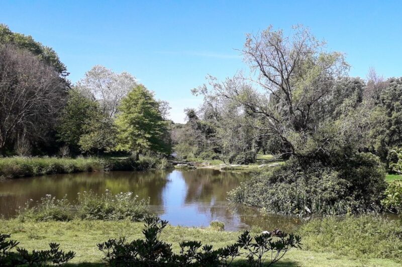 Porto Riverbank Tour on an e-bike: Atlantic Coast, Gardens - Who Will Love This Tour?
