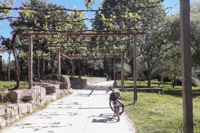 Porto Riverbank Tour on an e-bike: Atlantic Coast, Gardens - Final Thoughts