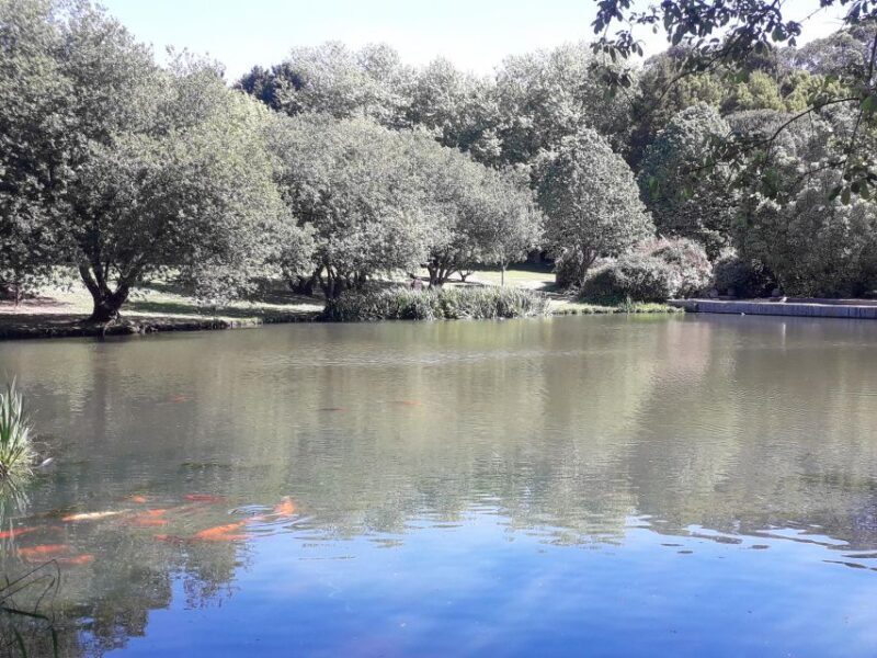 Porto Riverbank Tour on an e-bike: Atlantic Coast, Gardens - FAQs