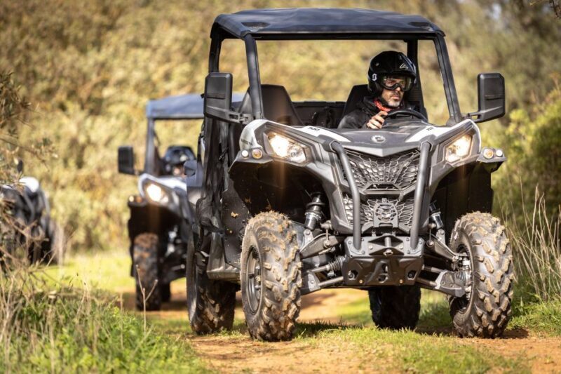 Porto Santo: 180 Minutes Off-Road Buggy Tour - The Experience in Detail