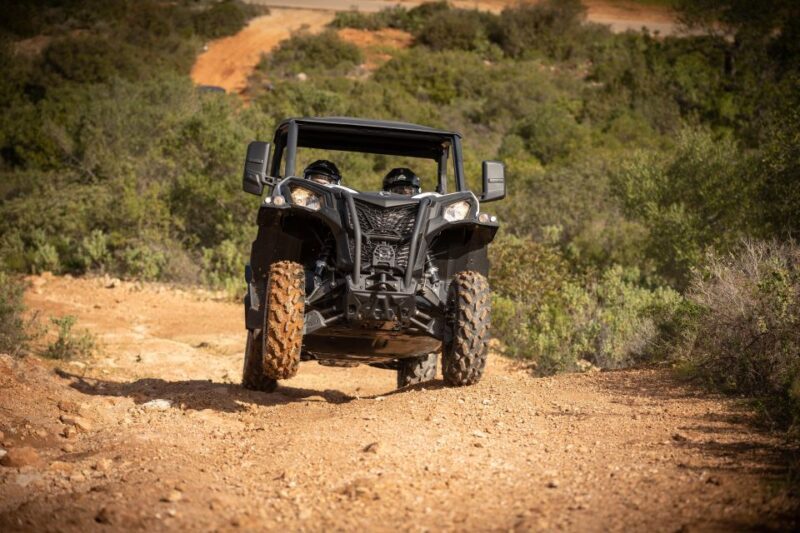 Porto Santo: 180 Minutes Off-Road Buggy Tour - Who Will Love This Tour?