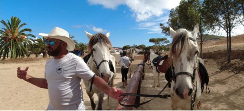 Porto Santo Island: Horse Riding - Introduction