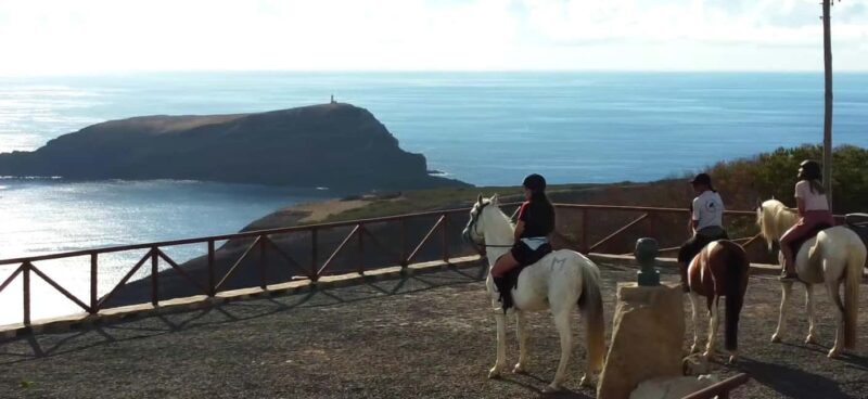 Porto Santo Island: Horse Riding - What to Expect During the Tour