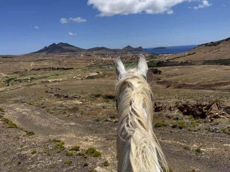 Porto Santo Island: Horse Riding - The Itinerary: A Day in the Saddle