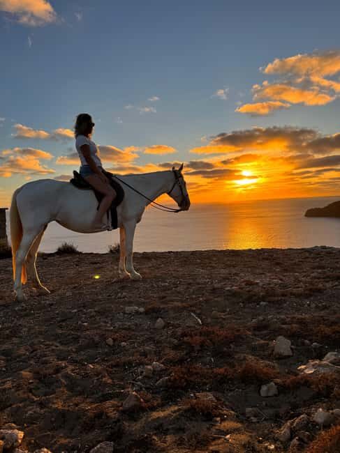 Porto Santo Island: Horse Riding - Final Thoughts: Is This Tour Worth It?