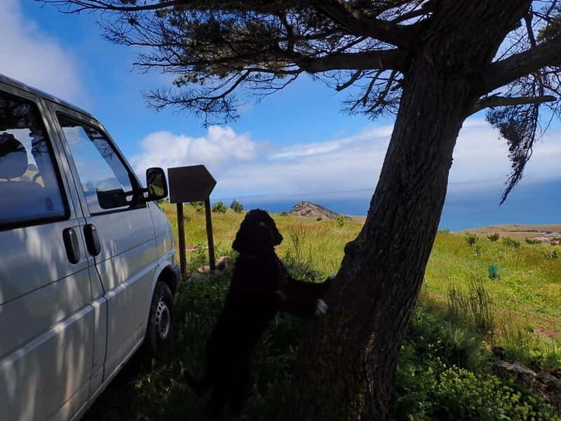 Porto Santo Island: Pico do Facho Panoramic Trail - Exploring the Itinerary: What to Expect on the Trail