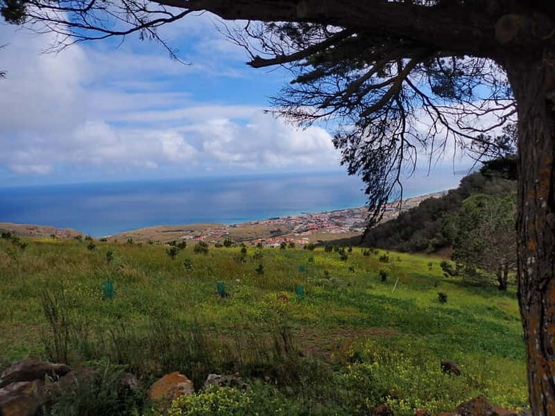 Porto Santo Island: Pico do Facho Panoramic Trail - What Reviews Say About the Experience