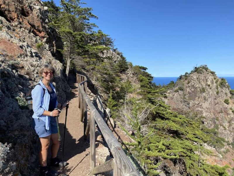 Porto Santo: Pico Branco and Terra Cha Guided Mountain Hike - Key Points