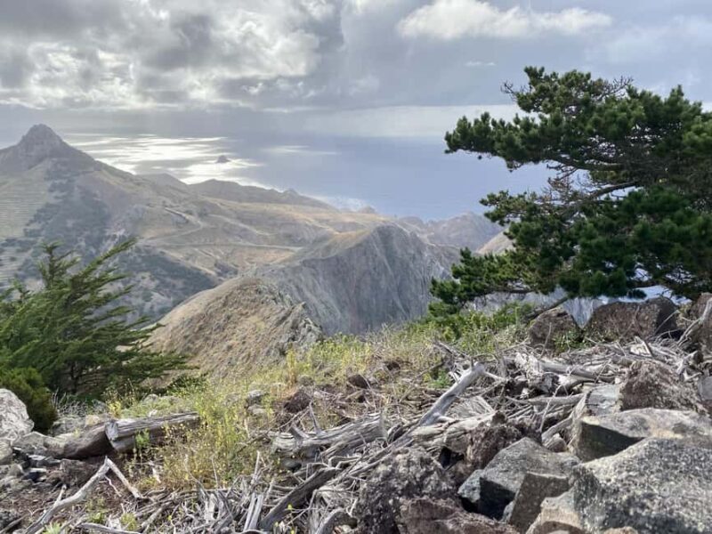 Porto Santo: Pico Branco and Terra Cha Guided Mountain Hike - A Closer Look at the Pico Branco and Terra Cha Guided Hike