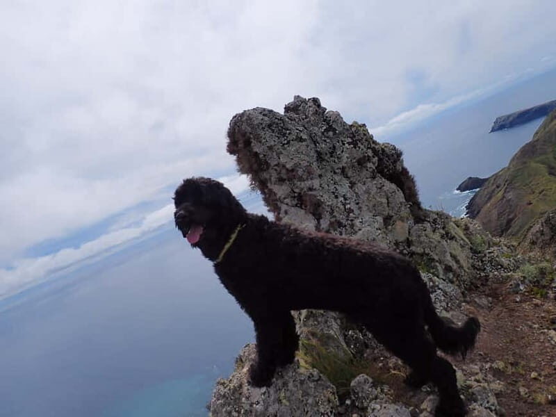 Porto Santo: Terra Chã and Pico Branco Hiking tour - Key Points