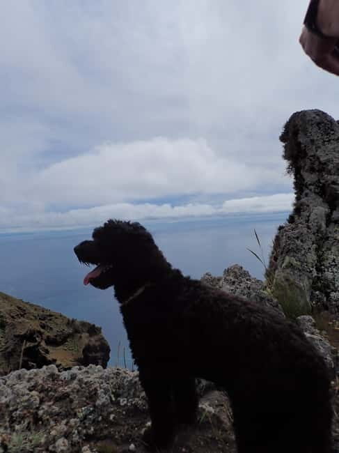 Porto Santo: Terra Chã and Pico Branco Hiking tour - The Sum Up