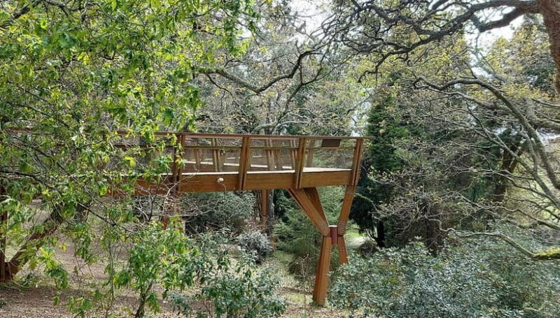 Porto: Serralves Gardens Art and Architecture Walking Tour - Key Points