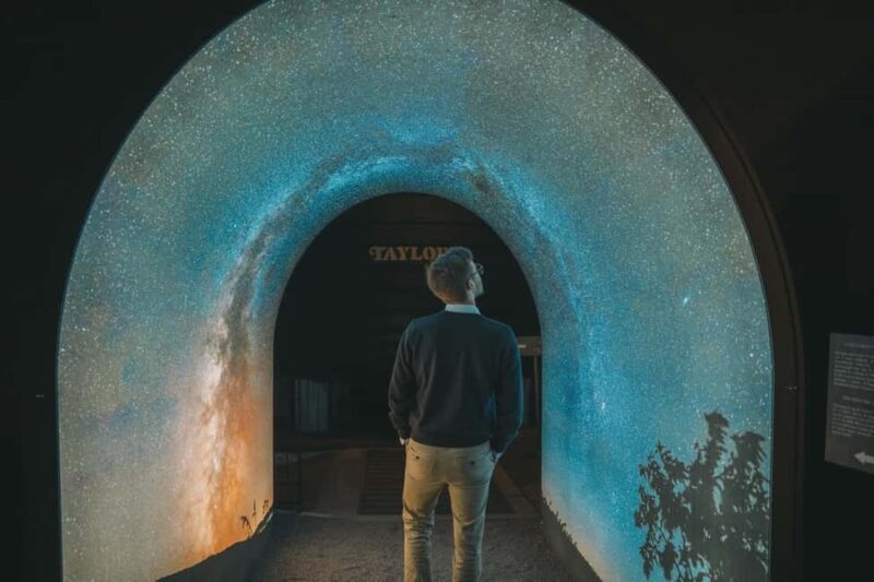 Porto: Taylors Port Cellar Tour & WOW The Wine Experience - Who Is This Tour Best For?