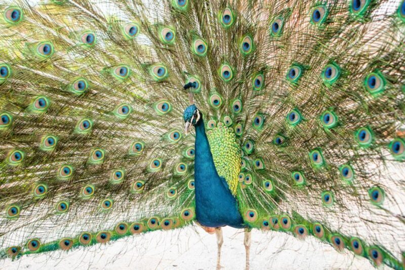 Porto: Taylor's Port Cellars & Tasting - Frequently Asked Questions