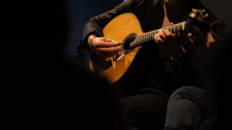 Porto: The highest-rated traditional fado concert (downtown) - Introduction