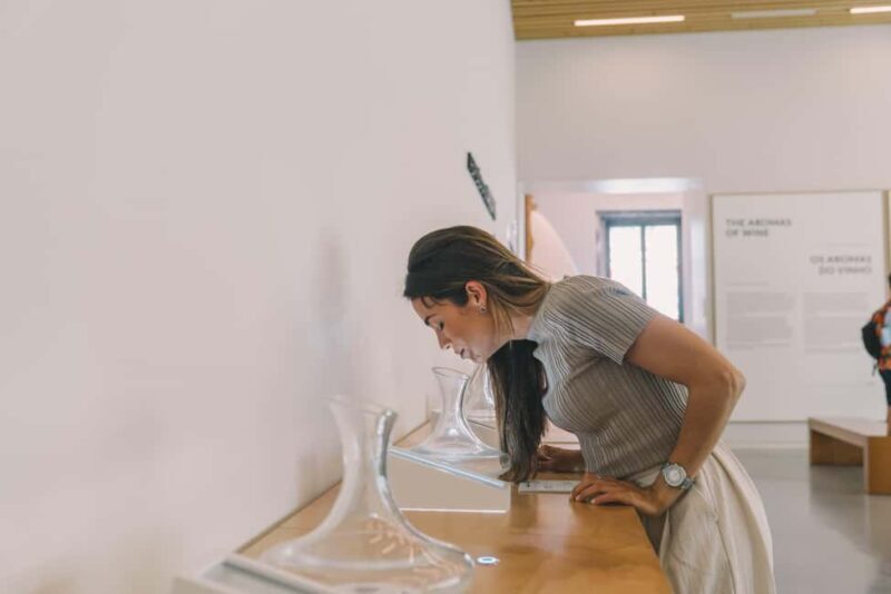 Porto: The Wine Experience, Best Wine Museum in the World - Key Points