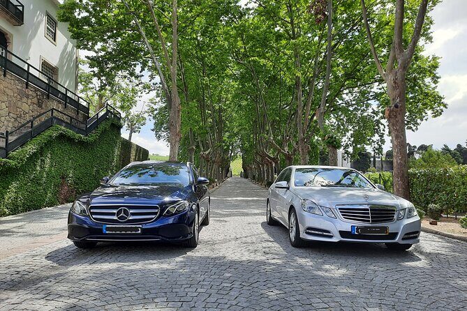 Porto to/from Douro Valley (1-8 pax) Private Transfer in Mercedes - Value and Pricing Analysis