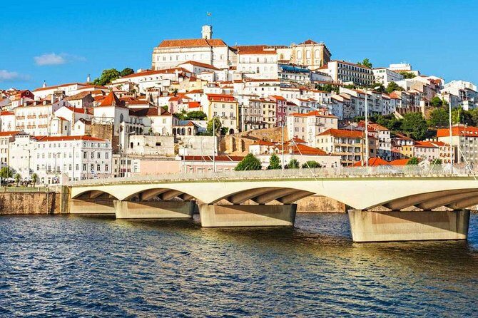 Porto to Lisbon up to 5 stops Aveiro Coimbra Fátima Nazaré Óbidos - What makes this tour worth considering?