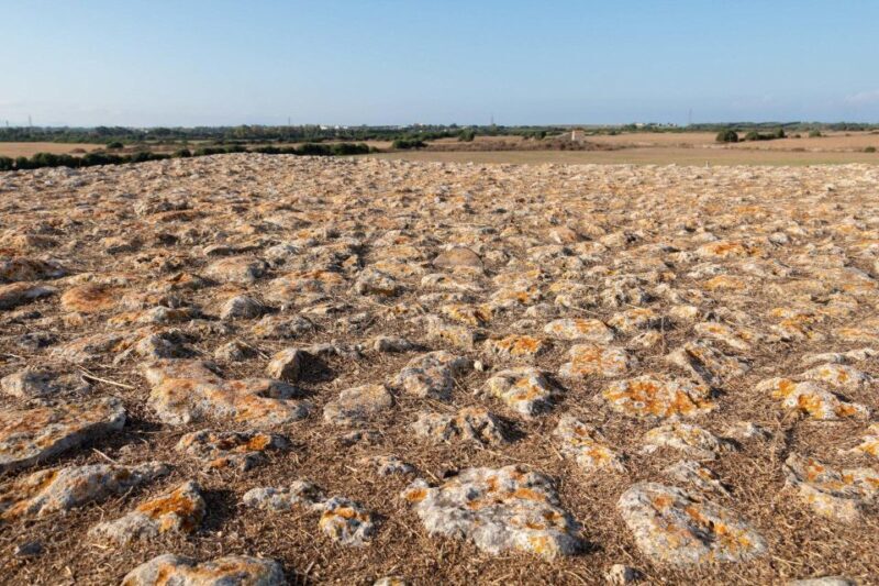 Porto Torres: Monte d'Accoddi & Su Crucifissu Mannu - Final Thoughts