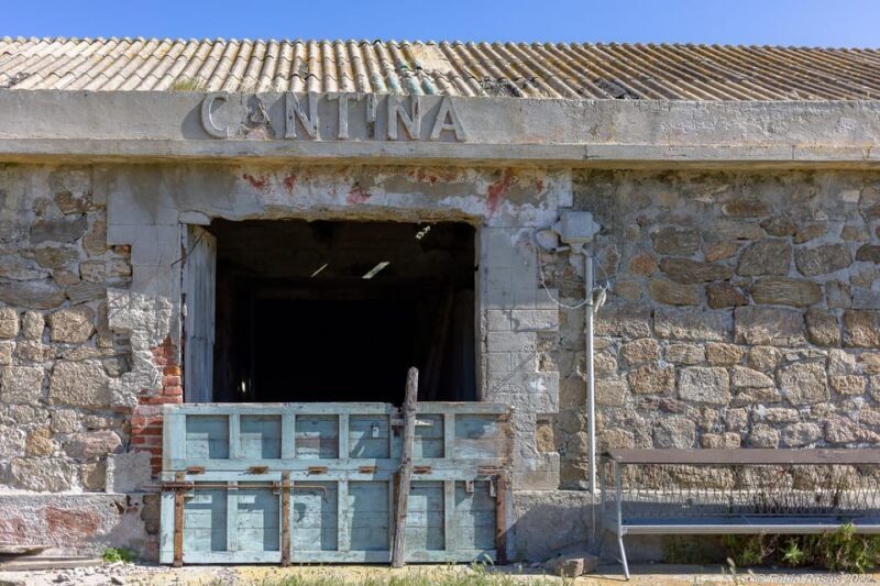 Porto Torres: rent your mountain bike to discover Asinara - FAQ