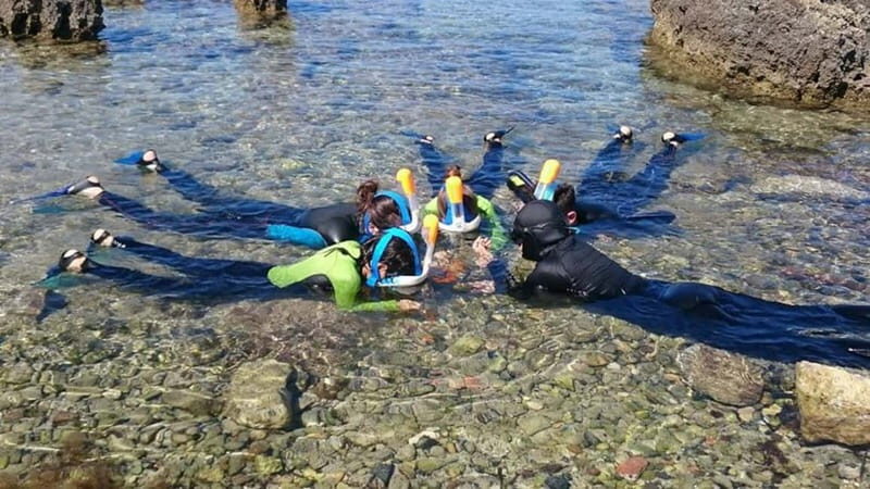 Porto Torres: Snorkeling in Balai Bay - Value for Money