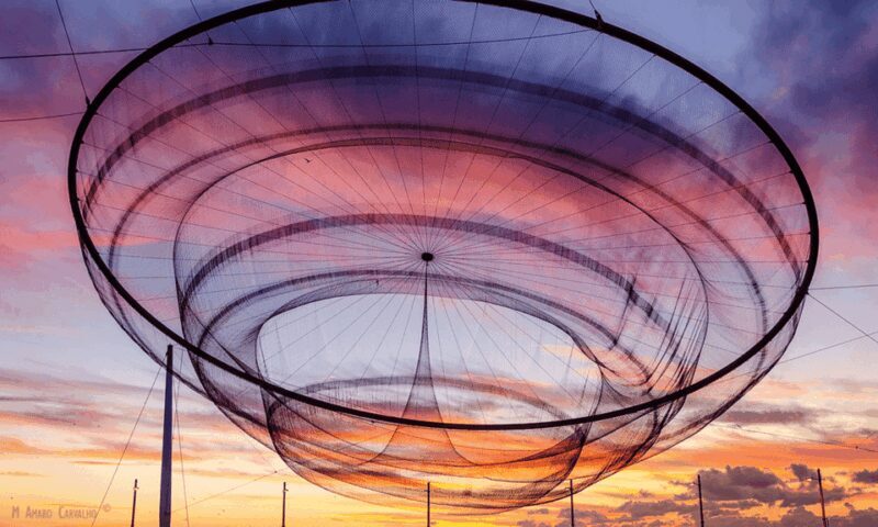 Porto Tour: One tour, a thousand stories by tuk tuk - 3 hours - In The Sum Up