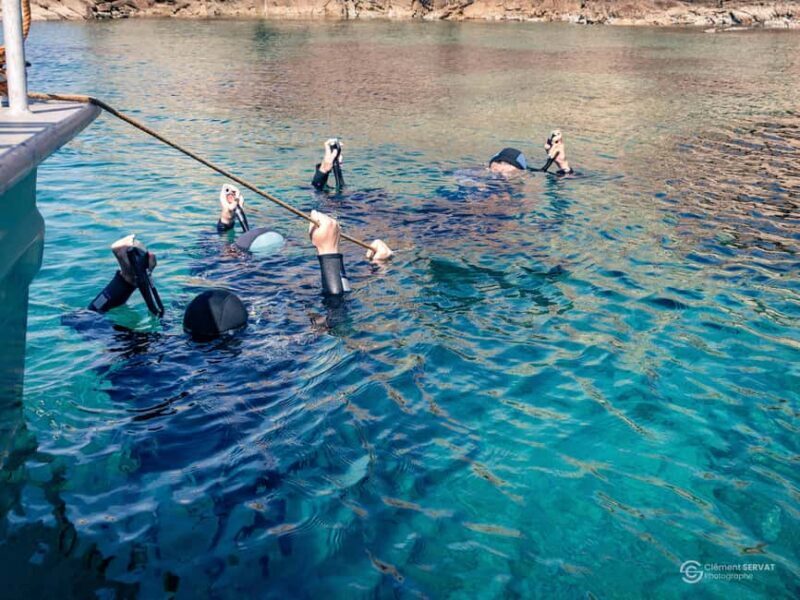 Porto-Vecchio: beginner diving in the Cerbicale Islands in the reserve - Introduction