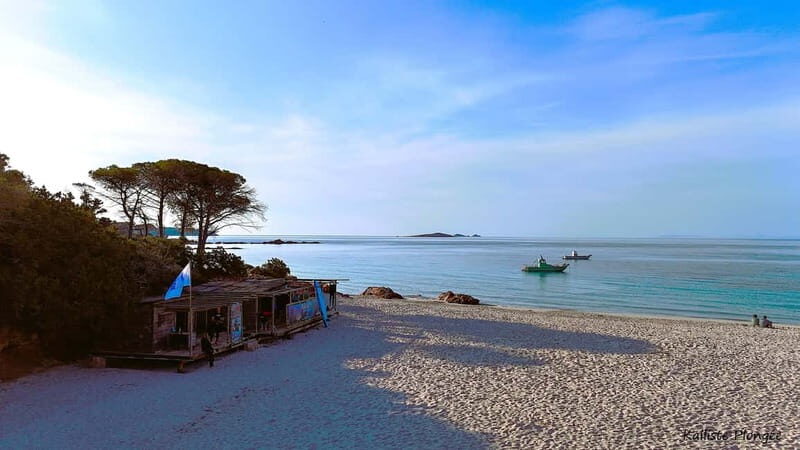 Porto-Vecchio: beginner diving in the Cerbicale Islands in the reserve - Pricing and Value