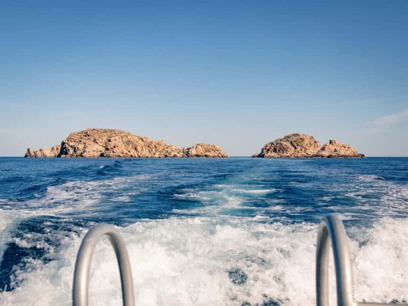 Porto-Vecchio: beginner diving in the Cerbicale Islands in the reserve - Authentic Reviews and Insights