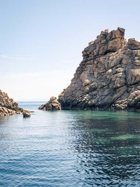 Porto-Vecchio: beginner diving in the Cerbicale Islands in the reserve - The Sum Up