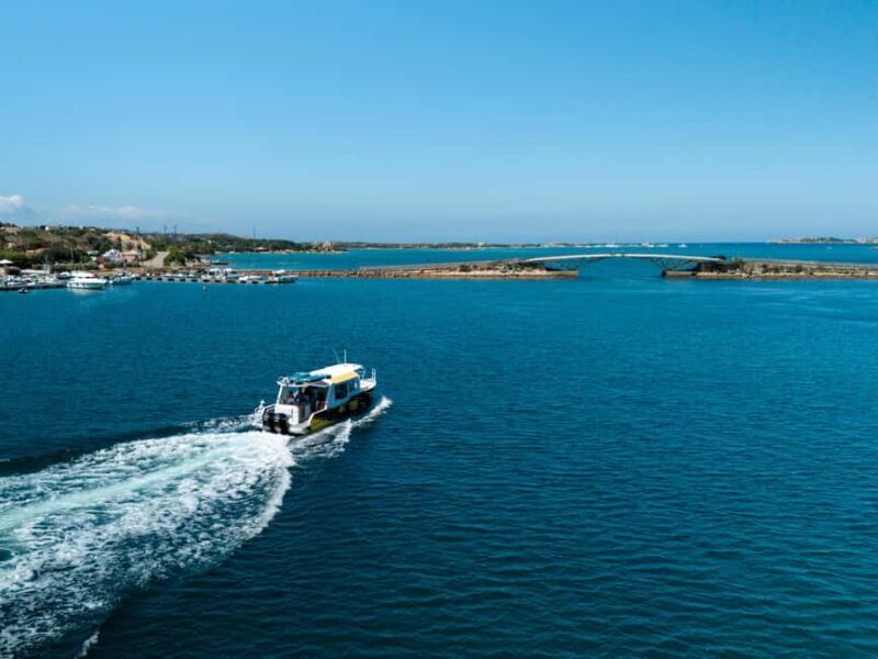 Porto Vecchio: Boat Tour to Maddalena Archipelago (Sardinia) - Practical Details and Considerations