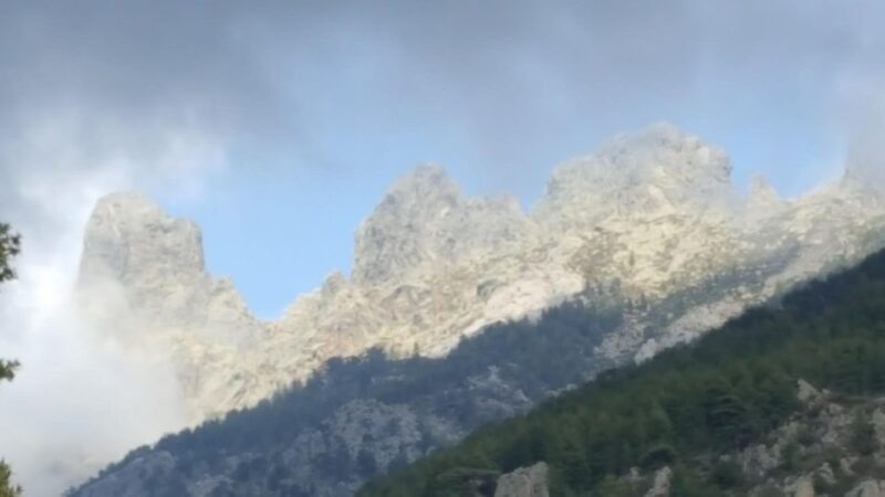 Porto Vecchio: Cuscionu Plateau & Alta Rocca 4x4 Tour - FAQ