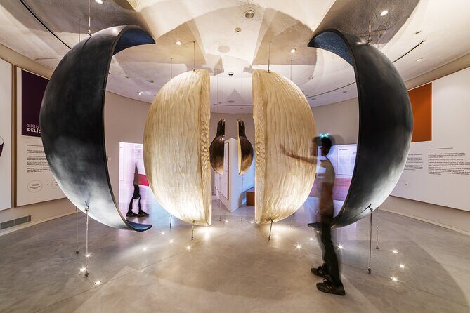 Porto: Wine Experience Musem with 3 Wine Tastings - Key Points