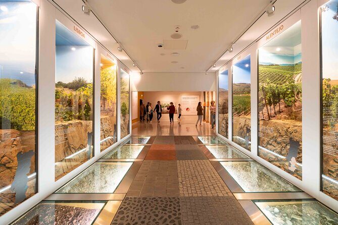 Porto: Wine Experience Musem with 3 Wine Tastings - The Authenticity and Value of the Tour