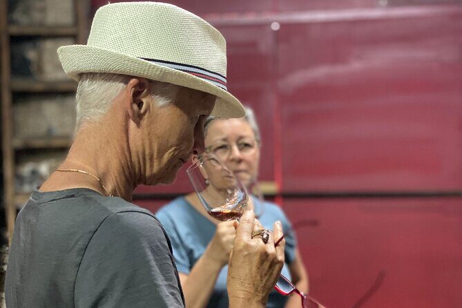 Porto Wine Tasting with GUIDED TOUR - The Sum Up: Who Should Book This Tour?