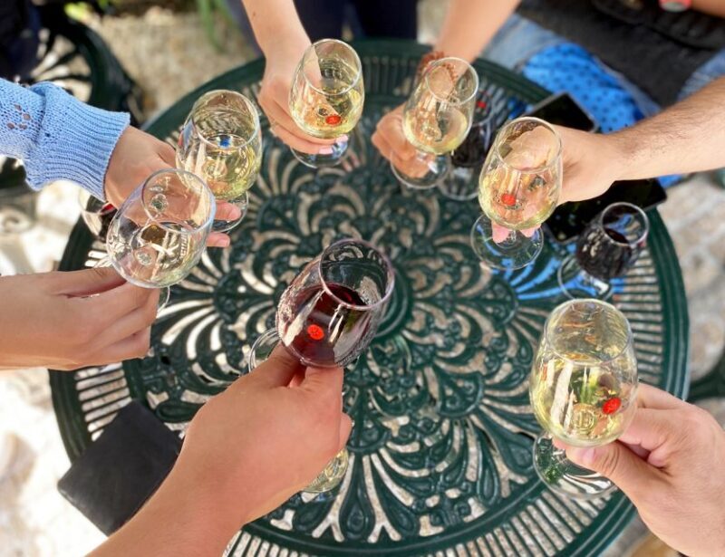 Porto: Wine Tasting with Tapas Walking Tour - Who Is This Tour Best For?