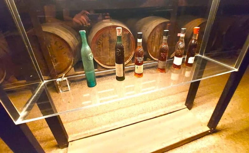 Porto: Wine Tastings (Green Wine) & Lunch & Porto Old Tour - Practical Details & What to Expect