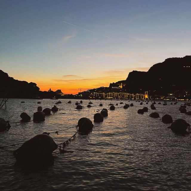 Portovenere: Palmaria Island & Lord Byron Cave Sunset Cruise - Is It Worth the Price?