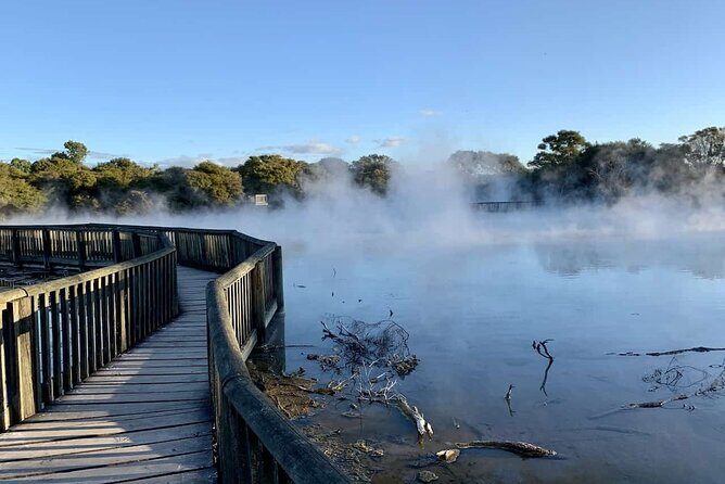 Ports of Tauranga/Rotorua/Tga - 6 Hours Rotorua Highlights Tour - Key Points