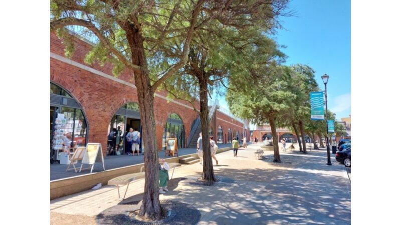 Portsmouth: Portsmouth of the Past Walking Tour - A Detailed Look at the Portsmouth of the Past Walking Tour