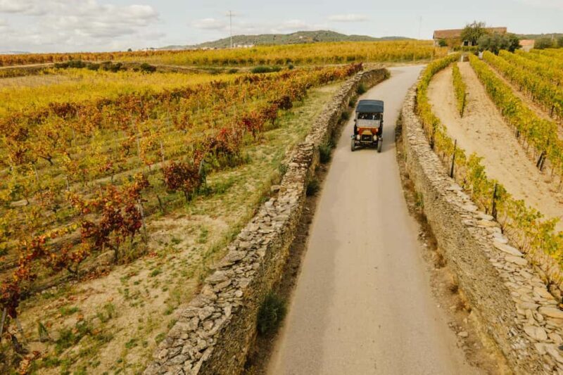Portugal: 2 days in the Douro Valley with Harvest experience - An In-Depth Look at the Douro Valley Tour