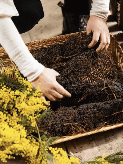 Portugal: Create natural watercolors - FAQ