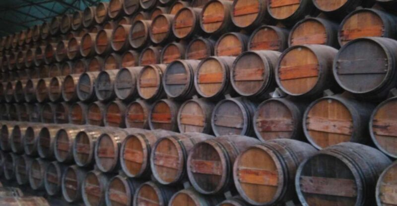 Portuguese Wine History & Amazing Landscape - Key Points