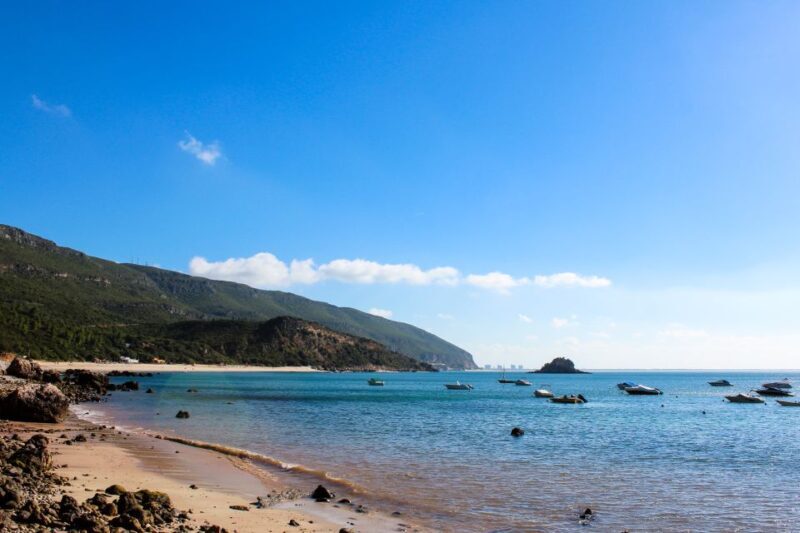 Portuguese Wine History & Amazing Landscape - An In-Depth Look at the Tour Experience